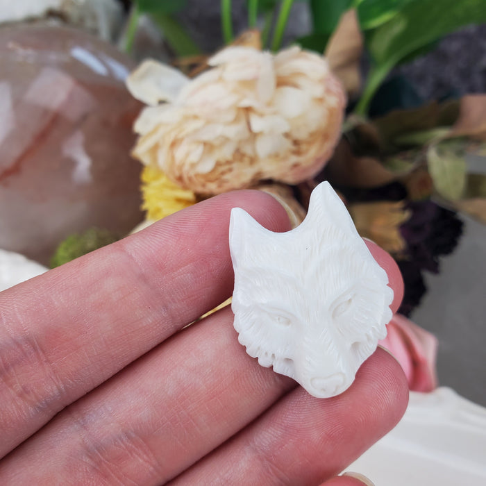 Wolf Face Bone Cabochons