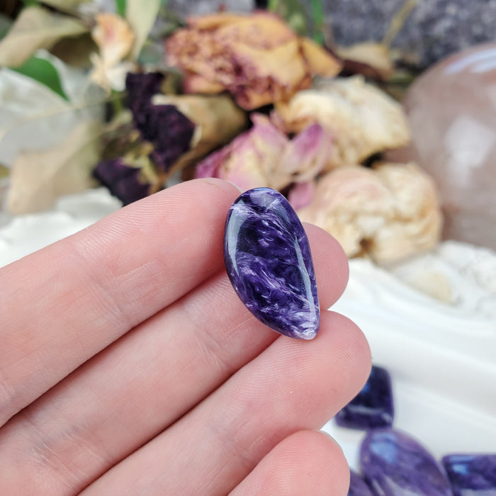 Charoite Cabochons