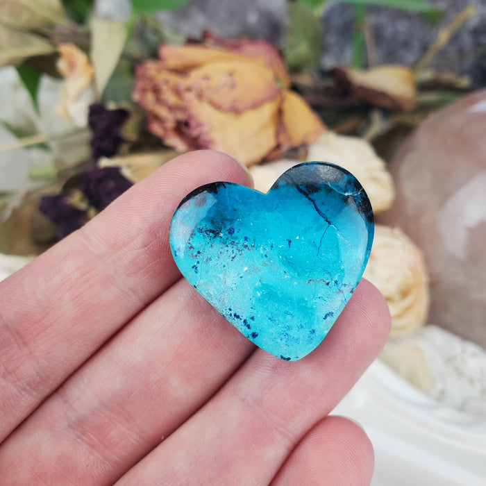 Shattuckite Heart Cabochons