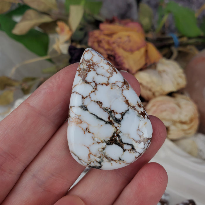 Wild Horse Magnesite Cabochons