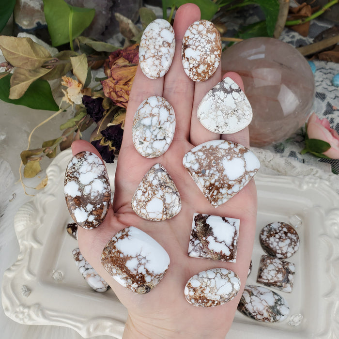 Wild Horse Magnesite Cabochons