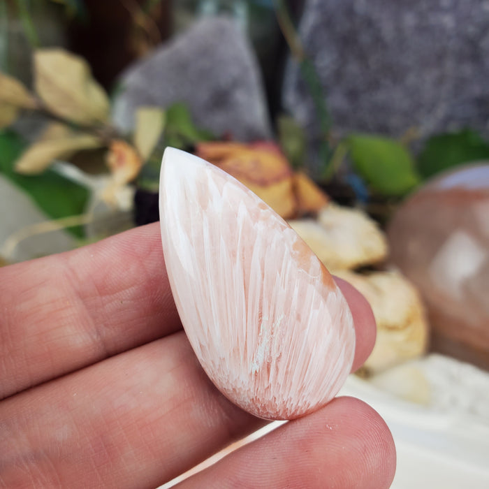 Scolecite Cabochons