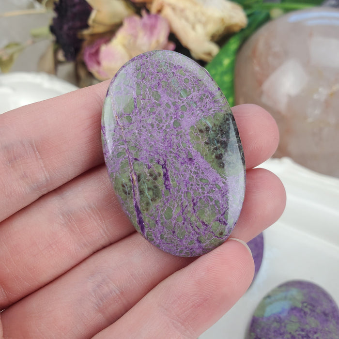 Atlantisite Cabochons, xl