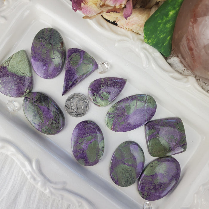 Atlantisite Cabochons, xl