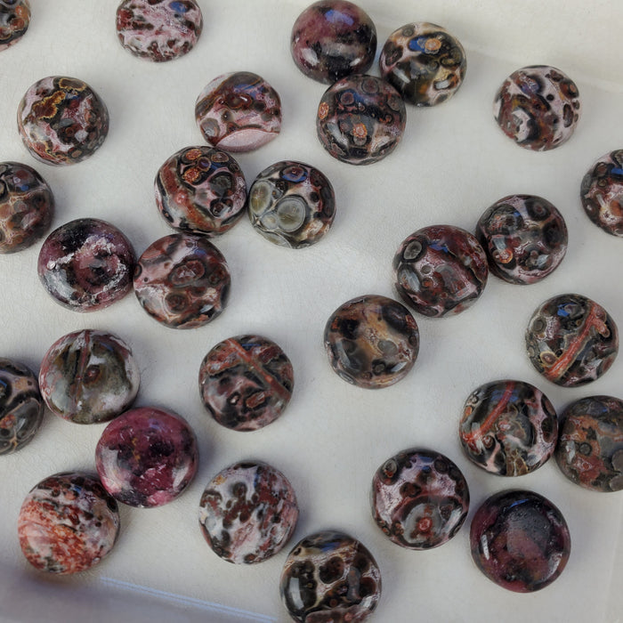 Leopard Skin Jasper Round Cabochons, 12mm