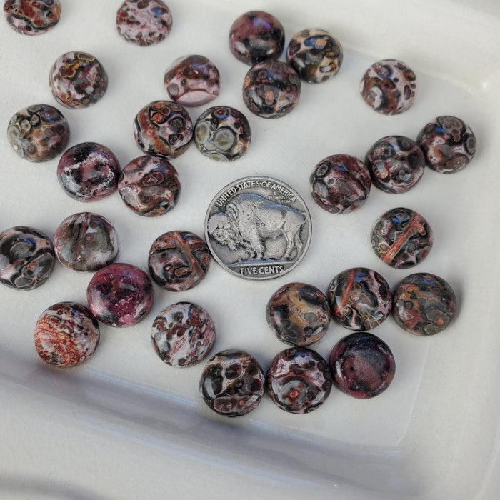 Leopard Skin Jasper Round Cabochons, 12mm