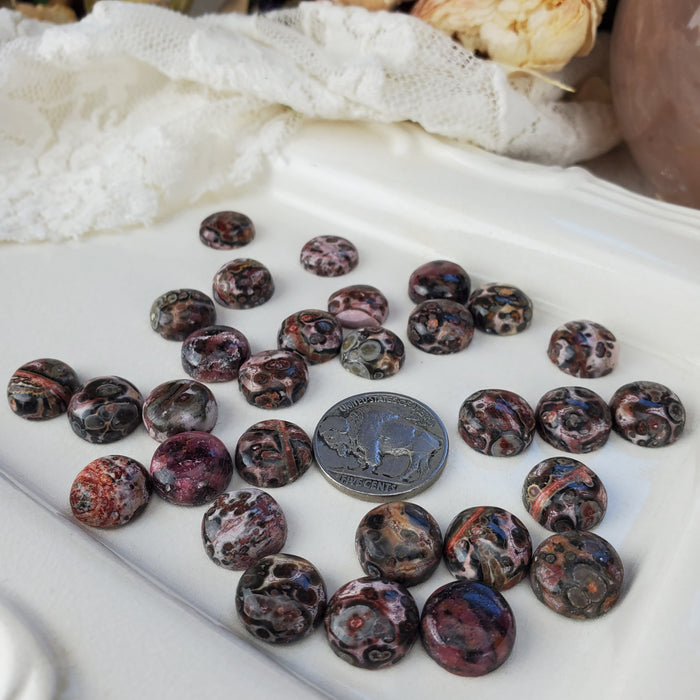 Leopard Skin Jasper Round Cabochons, 12mm