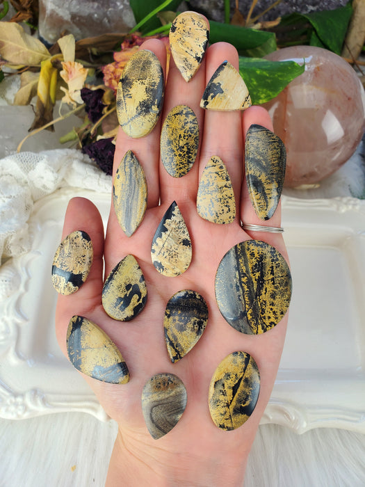 Sage Brush Jasper Cabochons