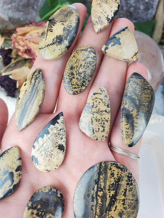 Sage Brush Jasper Cabochons