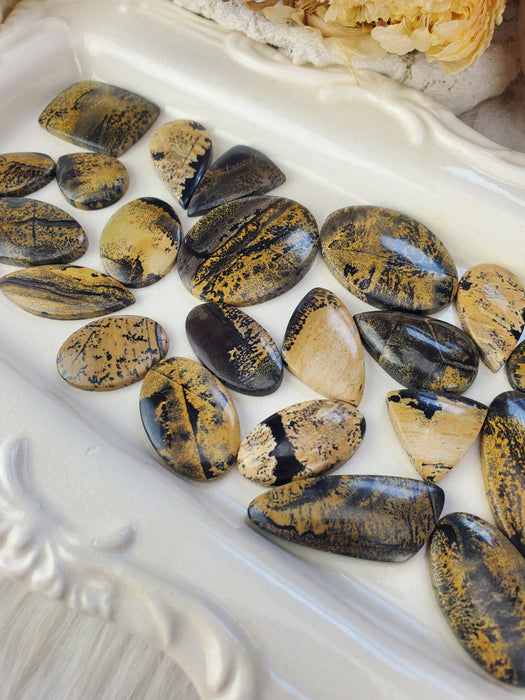 Sage Brush Jasper Cabochons