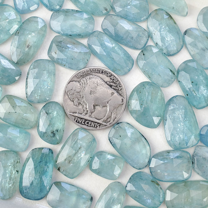 Teal Kyanite Rose Cut Cabochons