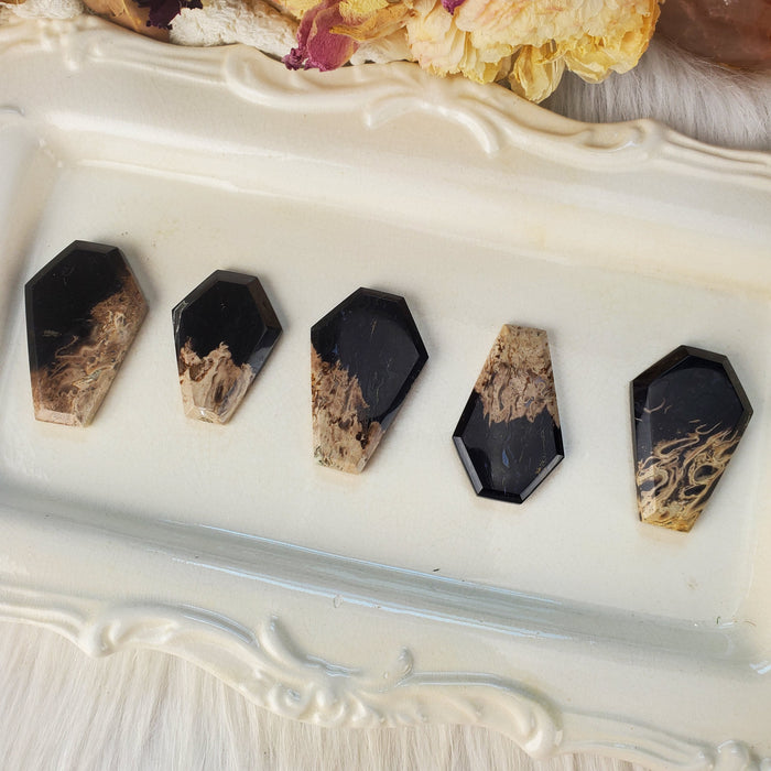 Fossil Palm Root Coffin Cabochons