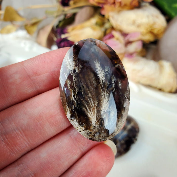 Plume Agate Oval Cabochons