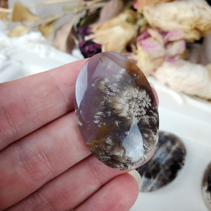 Plume Agate Oval Cabochons