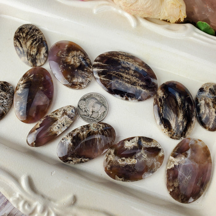 Plume Agate Oval Cabochons