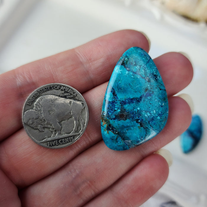 YOU PICK: Shattuckite Cabochons