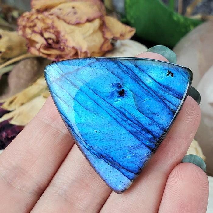 Blue Labradorite Cabochon, 2