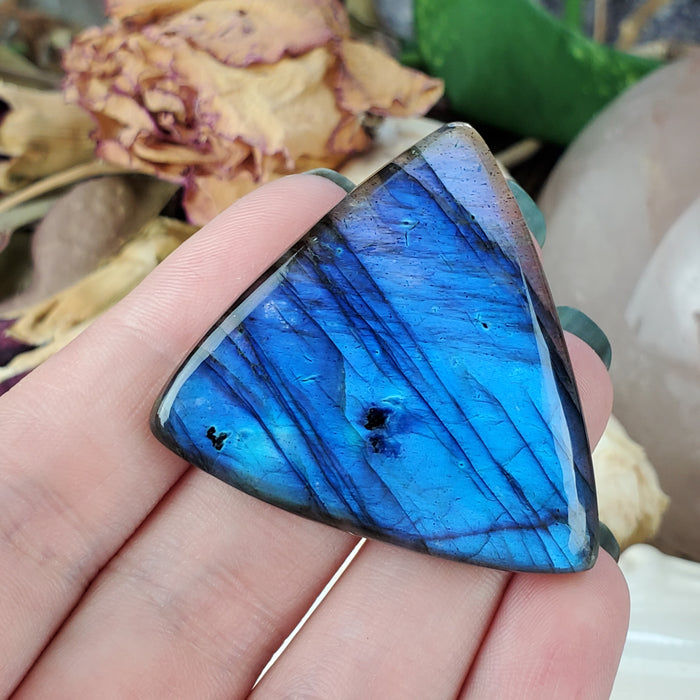 Blue Labradorite Cabochon, 2