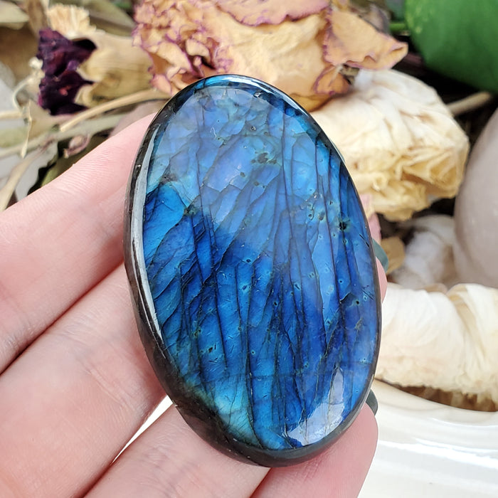 Blue Labradorite Cabochon, 4