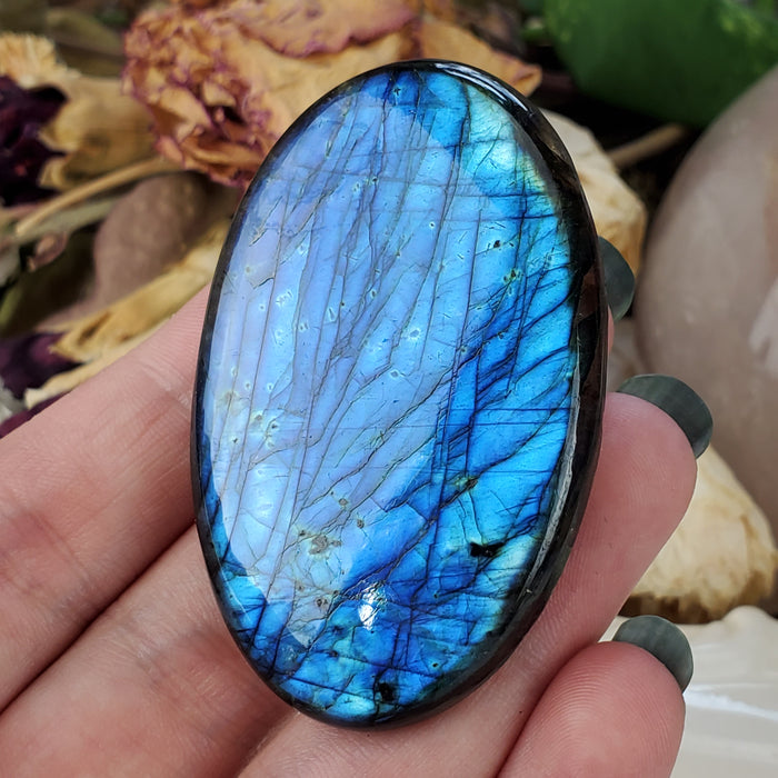 Blue Labradorite Cabochon, 4