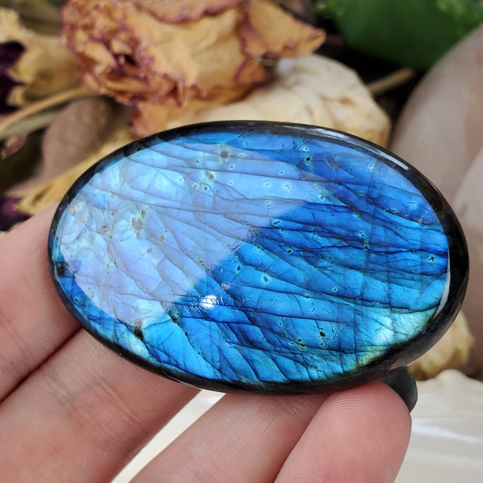 Blue Labradorite Cabochon, 4