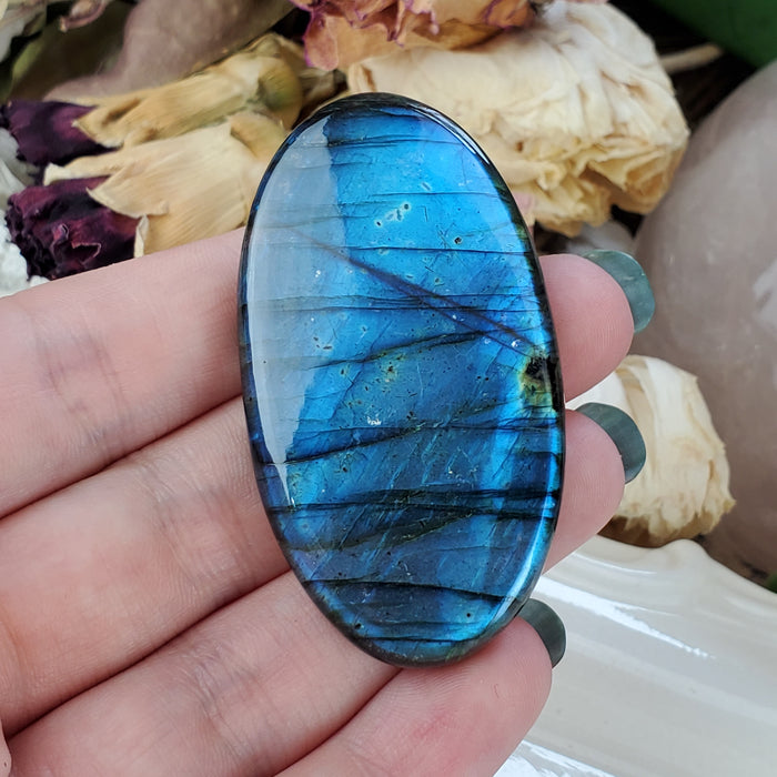 Blue Labradorite Cabochon, 10