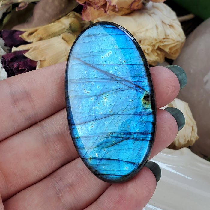 Blue Labradorite Cabochon, 10