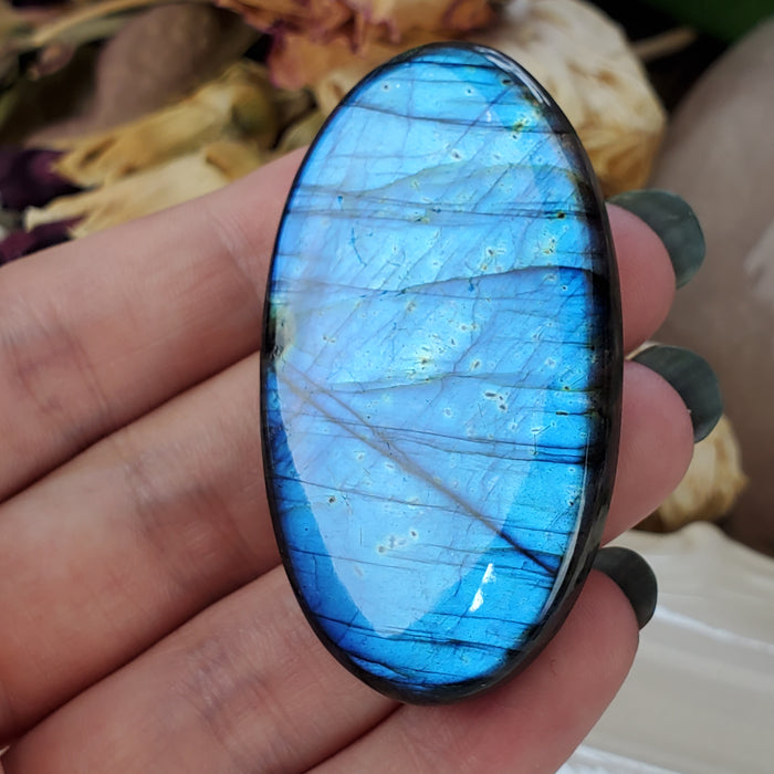 Blue Labradorite Cabochon, 10