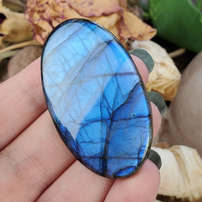 Blue Labradorite Cabochon, 8