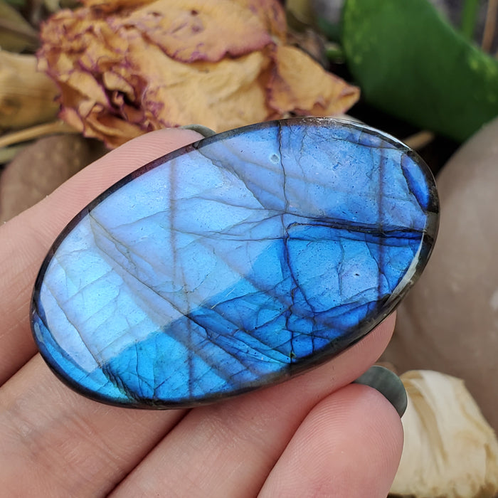 Blue Labradorite Cabochon, 8