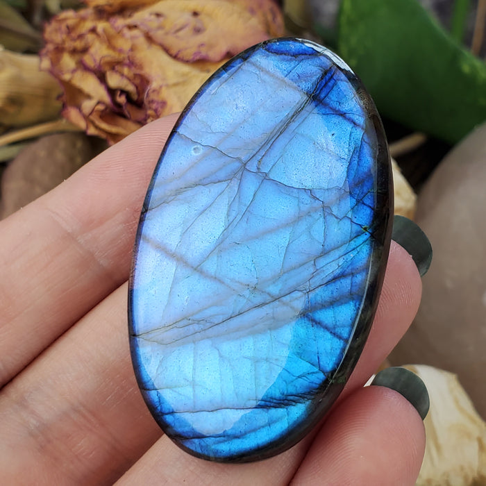 Blue Labradorite Cabochon, 8