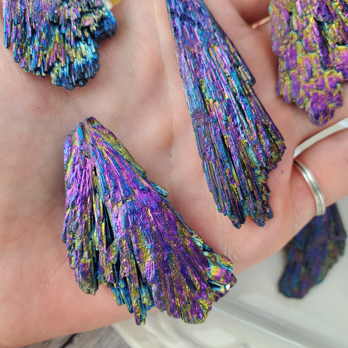 Chunky Dichroic Kyanite Fans