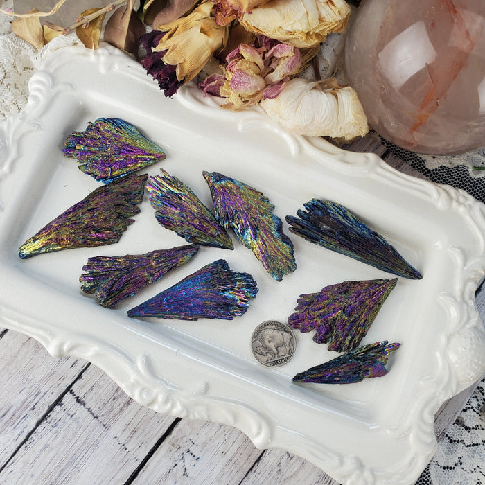 Chunky Dichroic Kyanite Fans