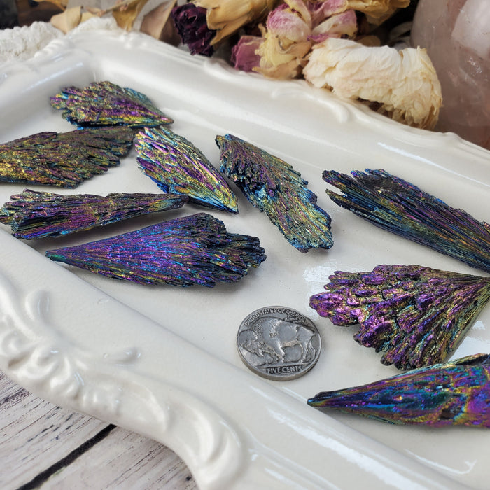 Chunky Dichroic Kyanite Fans