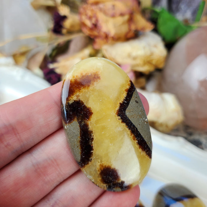 Septarian Cabochons