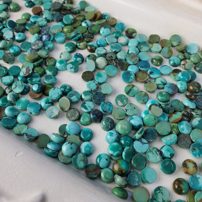 Tibetan Turquoise Cabochons, 6mm Round