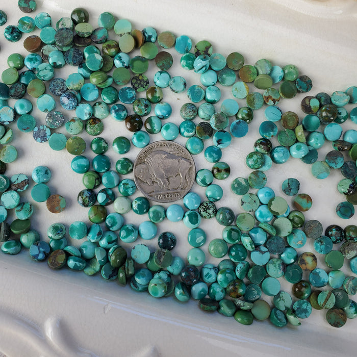 Tibetan Turquoise Cabochons, 6mm Round