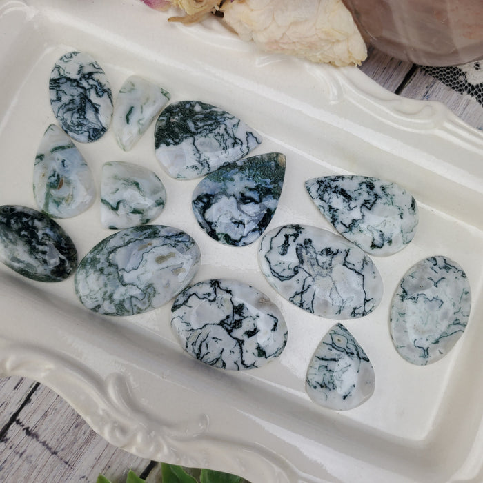 Tree Agate Cabochons, 100 gram bags