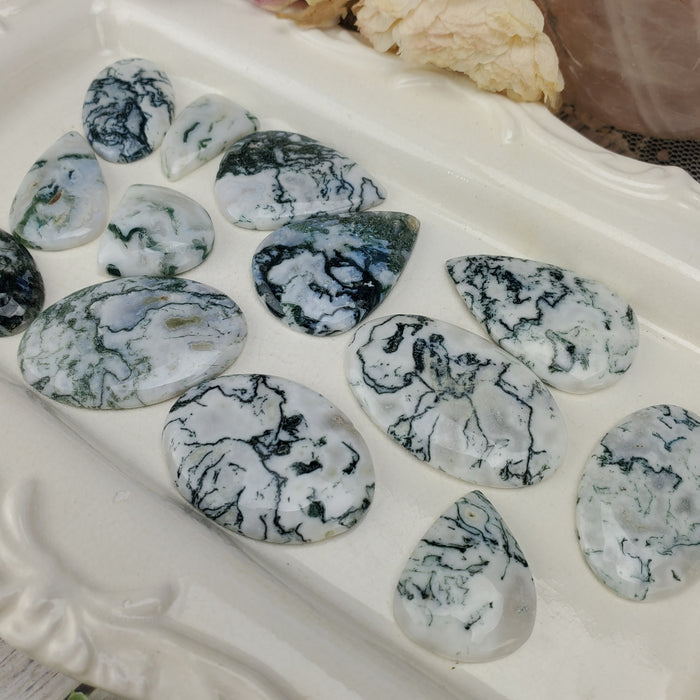 Tree Agate Cabochons, 100 gram bags