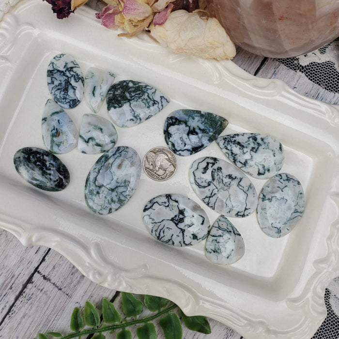 Tree Agate Cabochons, 100 gram bags