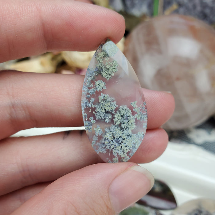 Moss Agate Freeform Cabochons