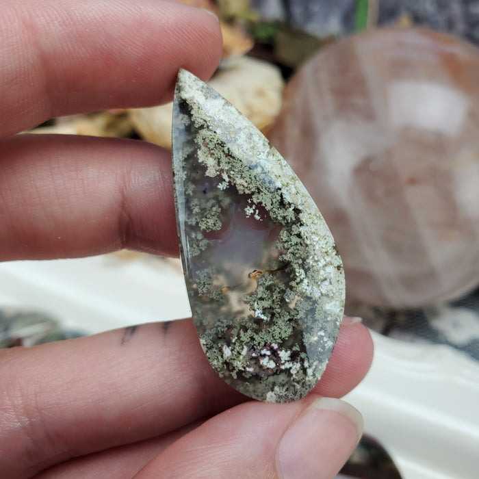 Moss Agate Freeform Cabochons