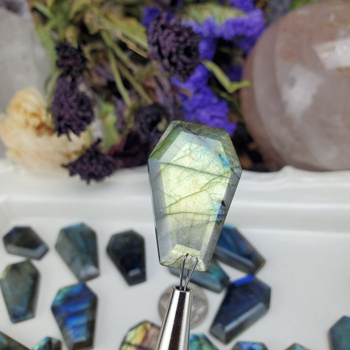 Labradorite Coffin Cabochons