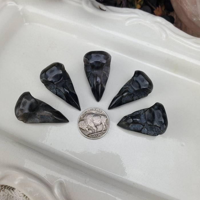 Silver & Gold Sheen Obsidian Raven Skull