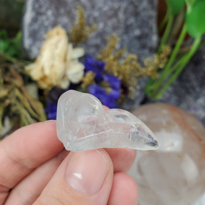 Clear Quartz Raven Skull