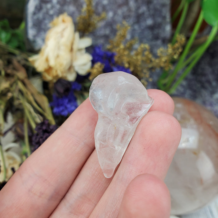 Clear Quartz Raven Skull