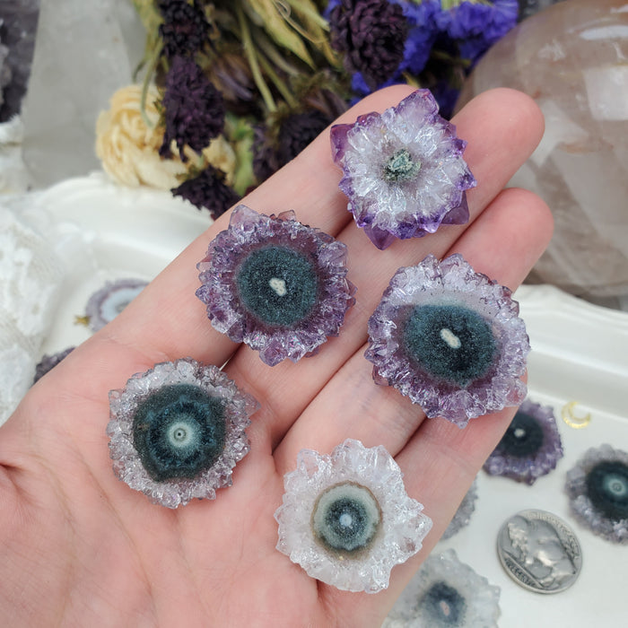 Amethyst Stalactite Slices