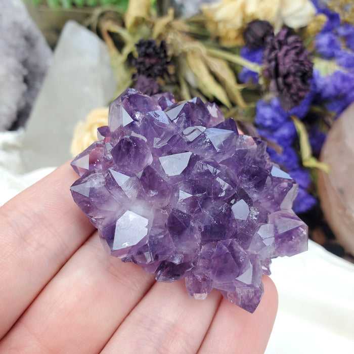 Large Amethyst Stalactite Rose, 5