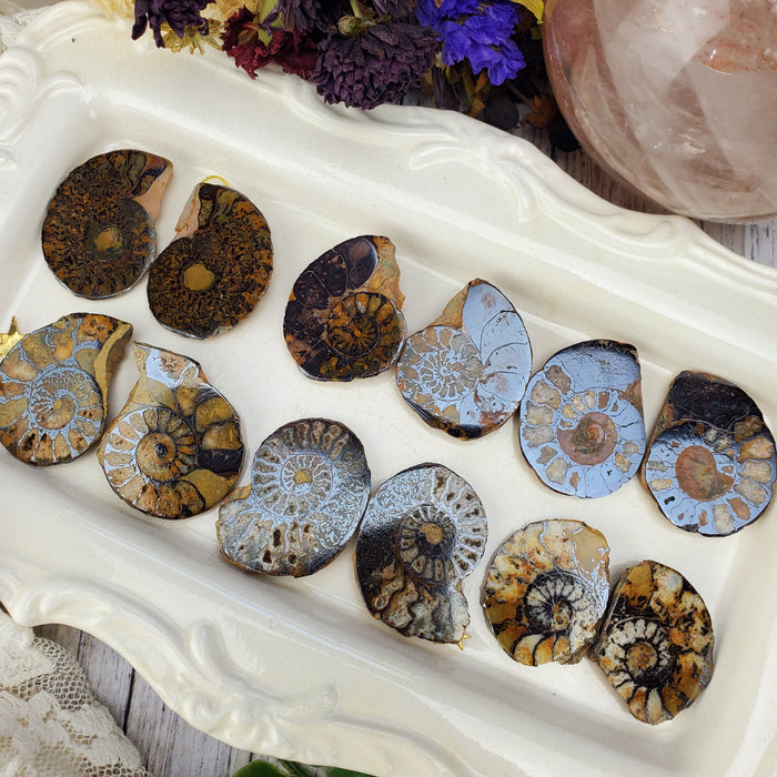 Hematite Ammonite Split Pairs