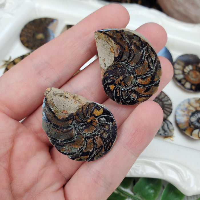 Hematite Ammonite Split Pairs